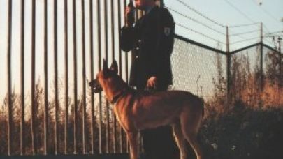 Beveiliger anno 1979 met hond buiten aan het werk