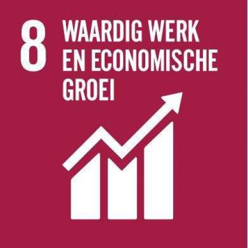 Principe 8 Waardig werk en economische groei - sustainable development - duurzaam