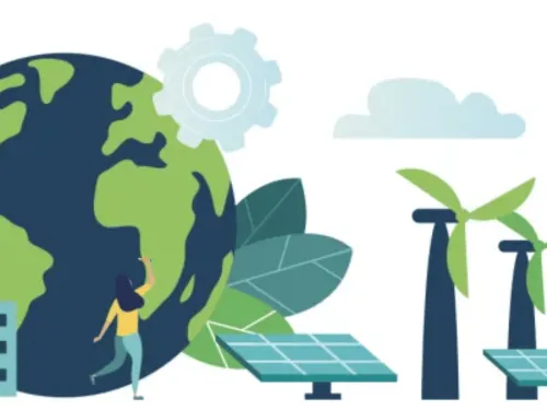 Samen naar een groenere wereld co2 neutraal