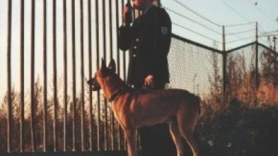 Beveiliger anno 1979 met hond buiten aan het werk Beveiliger anno 1979 met hond buiten aan het werk