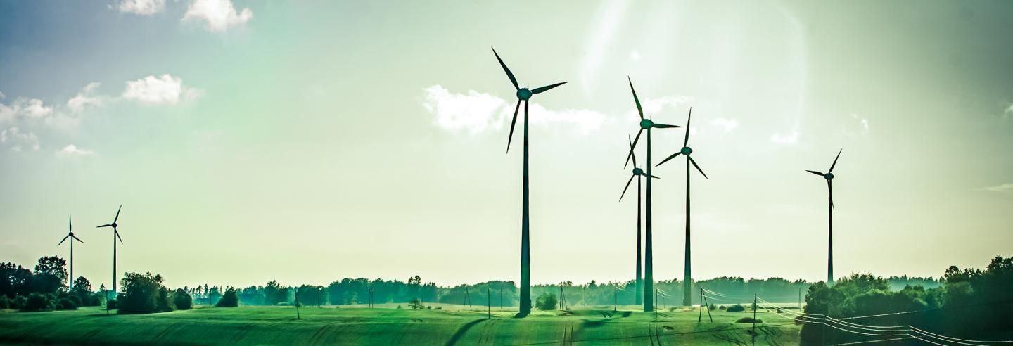 Groen en zonnig landschap met mooie blauwe lucht met paar schapenwolkjes en een aantal windmolens